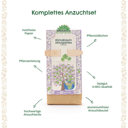 Anzuchtset – Minigarten Klimabaum