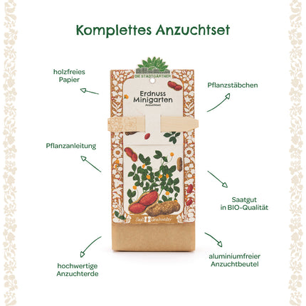 Anzuchtset – Minigarten Erdnuss
