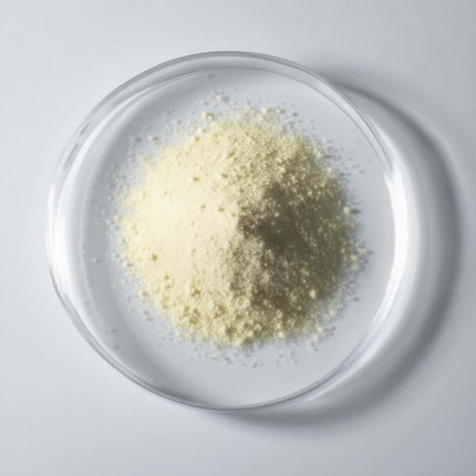 Cognitive Support Supplement – NEUROGUARD+ Capsule Formula