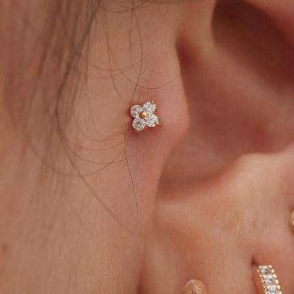 Titan Labret 4er Kristallblume