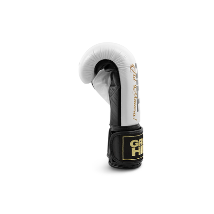 Boxhandschuhe LEGEND - Leder -  Ohne Gelenkschutz