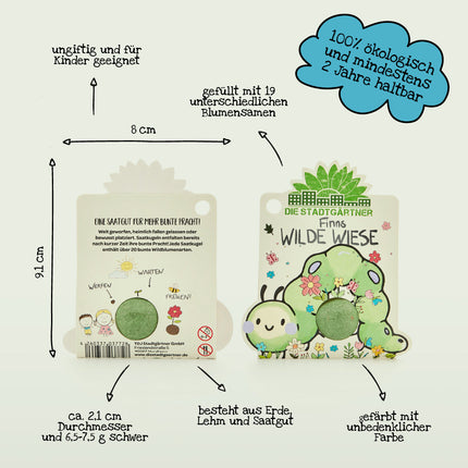 1 Blumenmurmel "Finns Wilde Wiese"