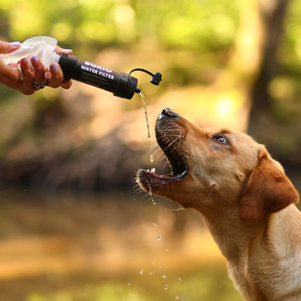 Mobiler Wasserfilter Outdoor I BOXIO WATER FILTER