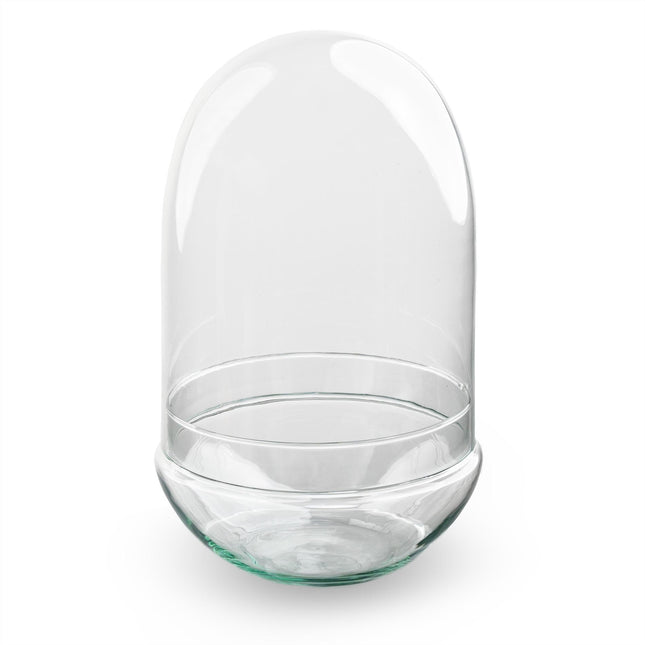 Flaschengarten Terrarium Ei XL Rundes Kuppelterrarium aus recyceltem Gla Ø17,5cm ↕30cm – pflegeleichter Flaschengarten im Glas, Pflanzen