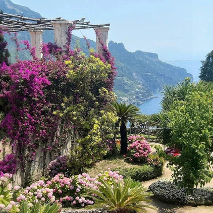 CASA AMALFI RAVELLO SINGLE GIFT SET