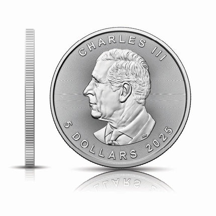 2025 Canada 1oz 9999 Silver BU Ghost of the Frozen Ruins Colourized