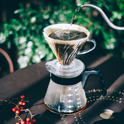 Hario V60-02 Plastik-Dripper