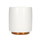White / Cortado 130ml