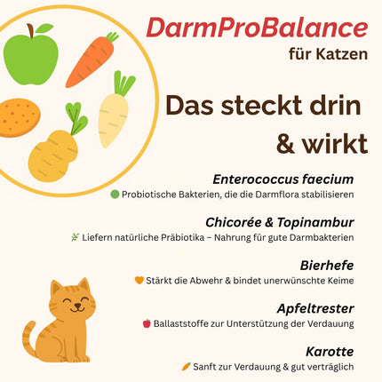 Darmpulver Katze - Durchfall und  Erbrechen Katze -Darmflora Katze aufbauen