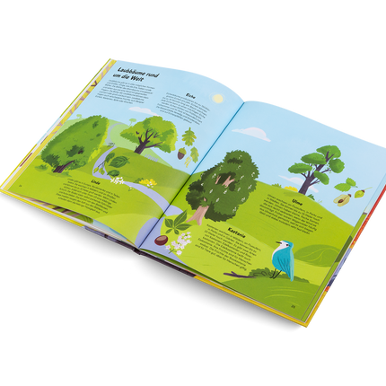 Das kleine Buch der Bäume