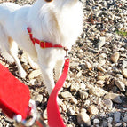 Rot / BioThane® / 16 mm