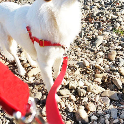 Doppelleine TECHTELMECHTEL aus BioThane® oder POP-Band - mit Edelstahlkomponenten - kein Verheddern