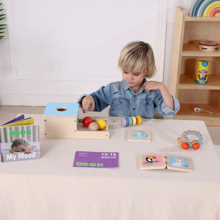 Montessori Educational Box, Babyspielzeug 7-12 Monate, 6 in 1 Lernspielzeug für Kleinkinder - Frühes Lerngeschenk
