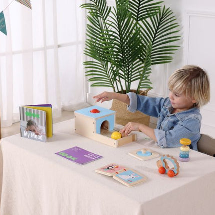 Montessori Educational Box, Babyspielzeug 7-12 Monate, 6 in 1 Lernspielzeug für Kleinkinder - Frühes Lerngeschenk