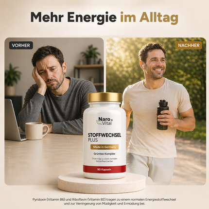 Stoffwechsel Plus – Stoffwechsel Komplex