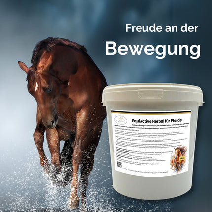 EquiActive Herbal 1kg – Kräutermischung zur Unterstützung von Beweglichkeit & Vitalität beim Pferd