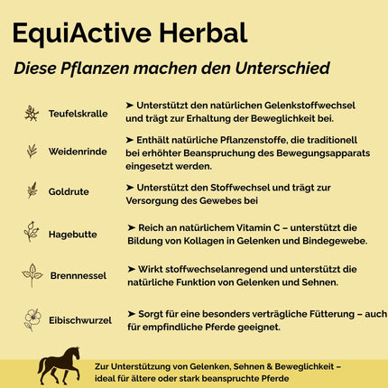 EquiActive Herbal 1kg – Kräutermischung zur Unterstützung von Beweglichkeit & Vitalität beim Pferd