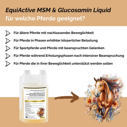 EquiActive MSM & Glucosamin Pferd Liquid 1000ml