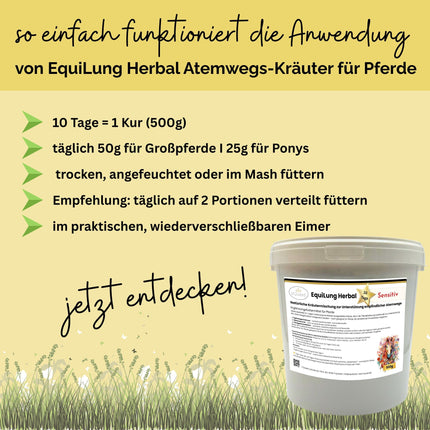 EquiLung Herbal Sensitiv – Hustenkräuter für Pferde zur Unterstützung empfindlicher Atemwege (10 Tage Fütterung)