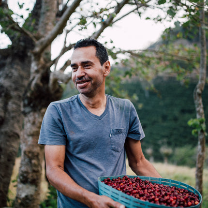 Filter Coffee - Jorge Vásquez - Catuai Natural