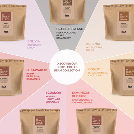 Kaffeebohnen mit Geschmacksrichtungen – Fruchtig, Nussig & Aromatisch entdecken (333g)