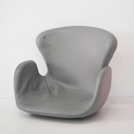 Original aus der Allianz Arena, Ehrentribüne 1 von 106