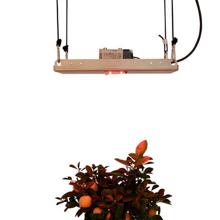 DIY FarRed Kit SMD Standalone