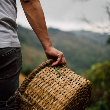 Filter Coffee - Jorge Vásquez - Catuai Natural