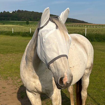 Fliegenmaske Fliegenohren Fliegenschutz für Pferde