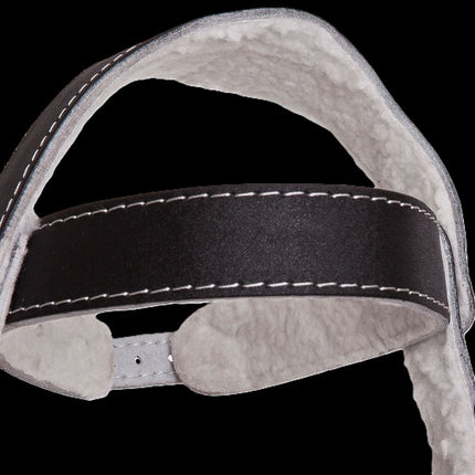 Kopf / Nackentrainer - BOX / MMA-  C.P.Sports G-10