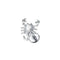 Damen-Accessoires