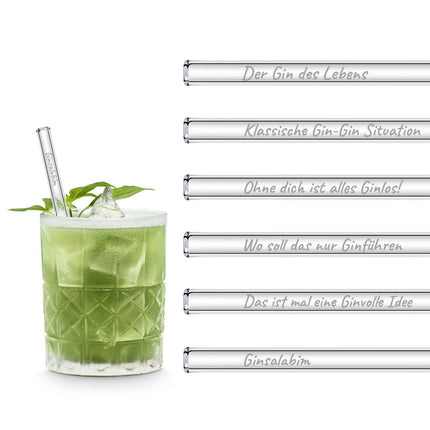 Der Gin des Lebens Edition gravierte mit 6 lustigen Gin Tonic Sprüchen