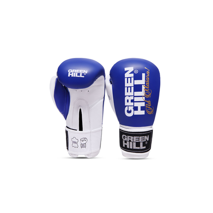 Green Hill LEGEND Silver Edition Boxhandschuhe mit Gelenkschutz