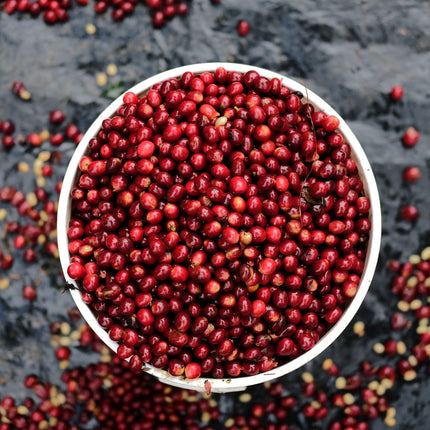 Espresso - Silvio Sánchez - Catuai Natural