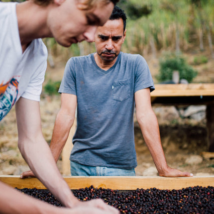 Filter Coffee - Jorge Vásquez - Catuai Natural