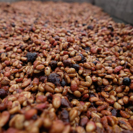 Corazón Oscuro - Dark Roast Blend