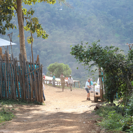 Filter Coffee - Syoum Family - Heirloom Natural