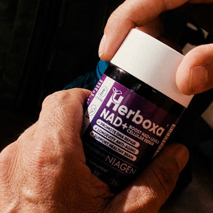 Herboxa® NAD+