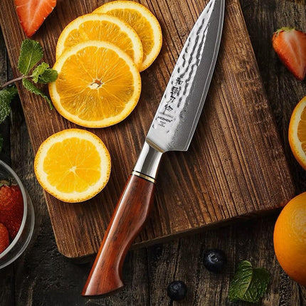 HEZHEN Santoku Damastmesser - Master Series 5 Zoll | 73-Lagen Premium Qualität