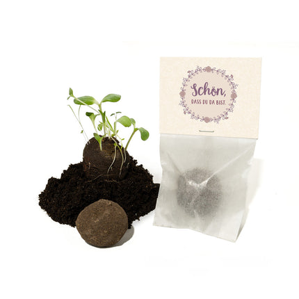 10x1 Samenbombe im Tütchen – Gastgeschenk