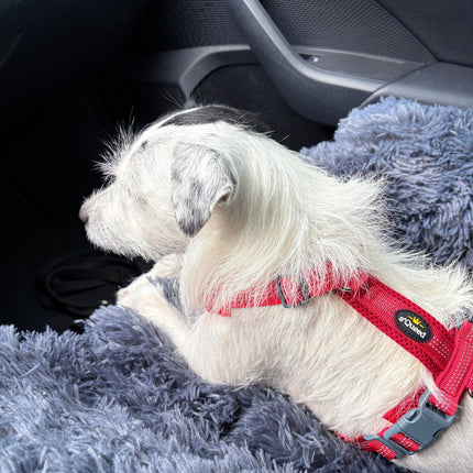 Hundebett "Balu" kuschelig weiche & waschbare Auflage – mit hohem Rand für Auto & Sofa