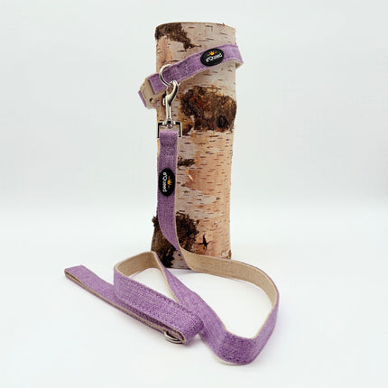 Hundehalsband-Set "Hempy" - Halsband + Leine + gravierte Hundemarke