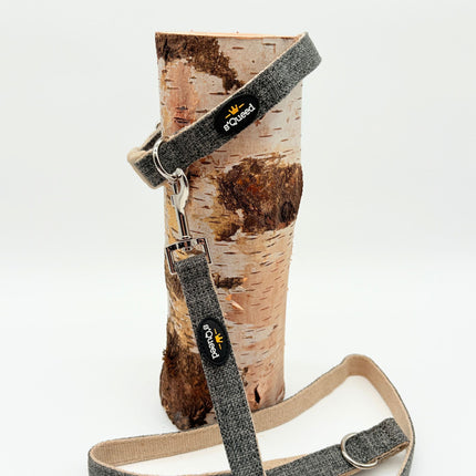 Hundehalsband-Set "Hempy" - Halsband + Leine + gravierte Hundemarke