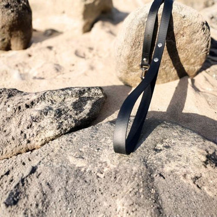 Premium Hundeleine UM'S ECK aus BioThane®/POP - Band - mit Edelstahlkomponenten - 1,5 m