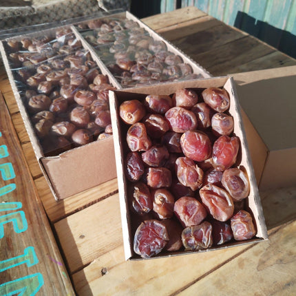 1kg Bio Dattel Barhi 'Honigball' mit Stein