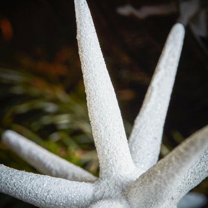 Weihnachtsstern HDSpike weiß, in 2 Größen