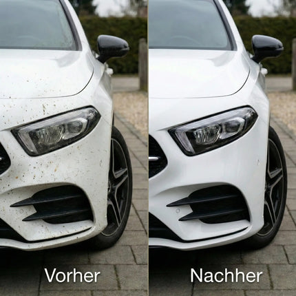 Insektenentferner