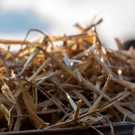 Kleintier Einstreu / Stroh
