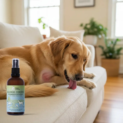 Allergo Control Knabberstopp