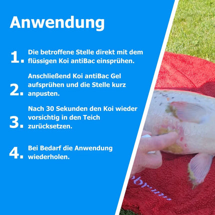 AnoKath® Koi antiBac – Wundspray für Koi & Teichfische